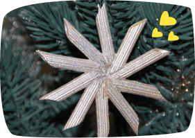 -penne-silver-star-decoration